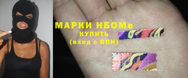 соль ск Снежинск