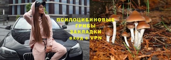 сатива Абдулино