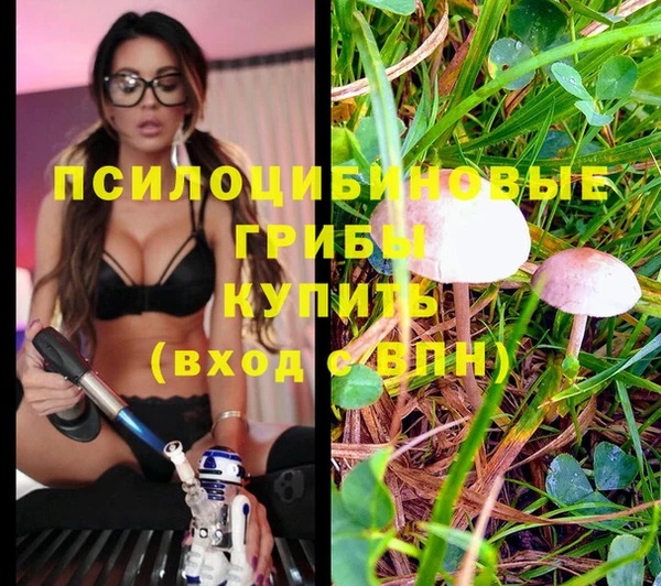 сатива Абдулино