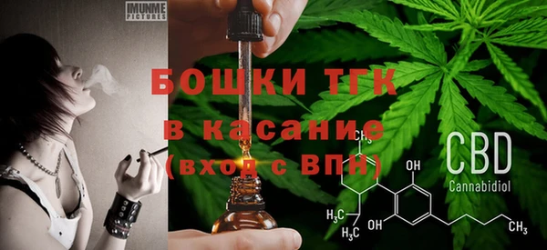 хмурый Снежногорск
