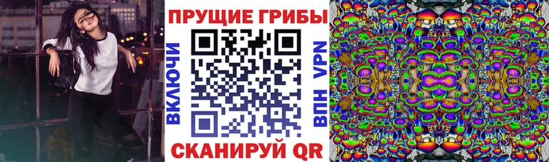 Галлюциногенные грибы Psilocybine cubensis  Лакинск 